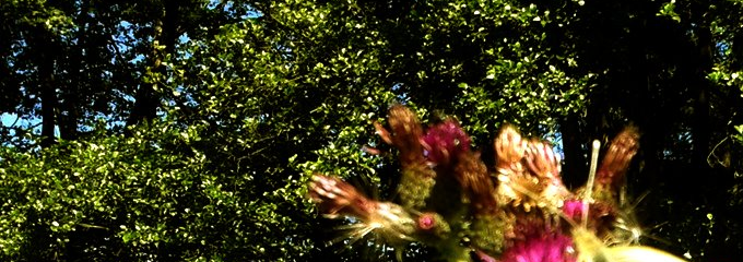 Naturerlebniswanderung im Gelbachtal